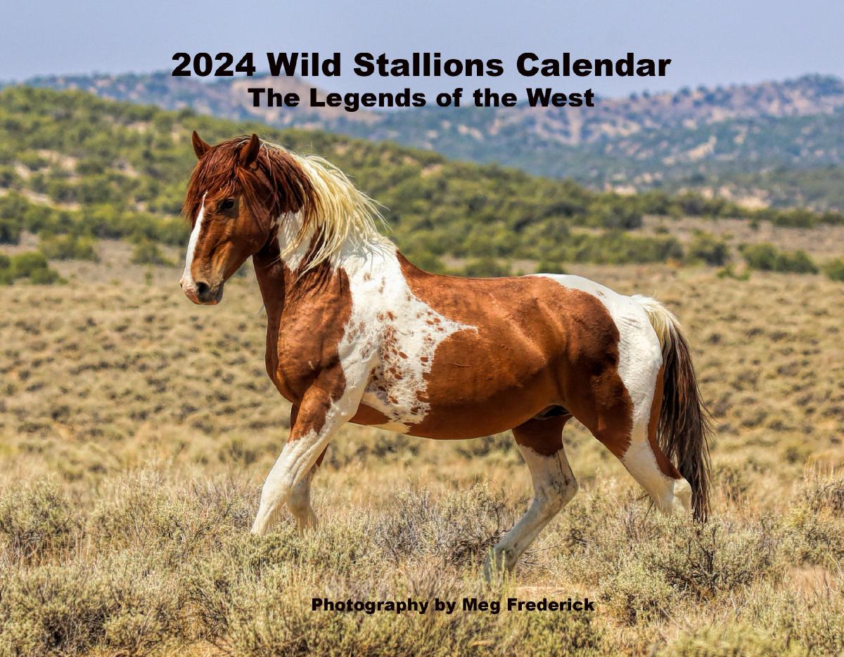 2024 Wild Stallion Calendar