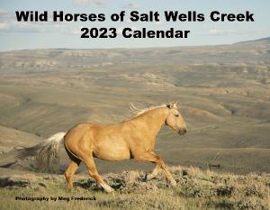 2023 Wild Horses of Salt Wells Creek Calendar