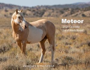 Meteor 2024 Calendar