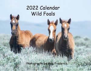 2022 Wild Foals Calendar