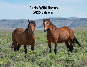 2025 Curly Wild Horse Calendar