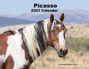 Picasso 2023 Calendar