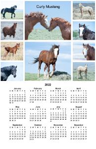 Curly Mustang Poster Calendar