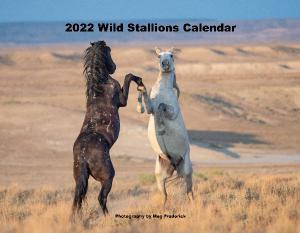 2022 Wild Stallion Calendar
