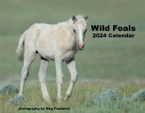 2024 Foals Calendar