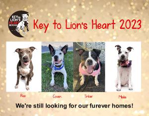 Key to Lion's Heart Rescue 2023 Calendar