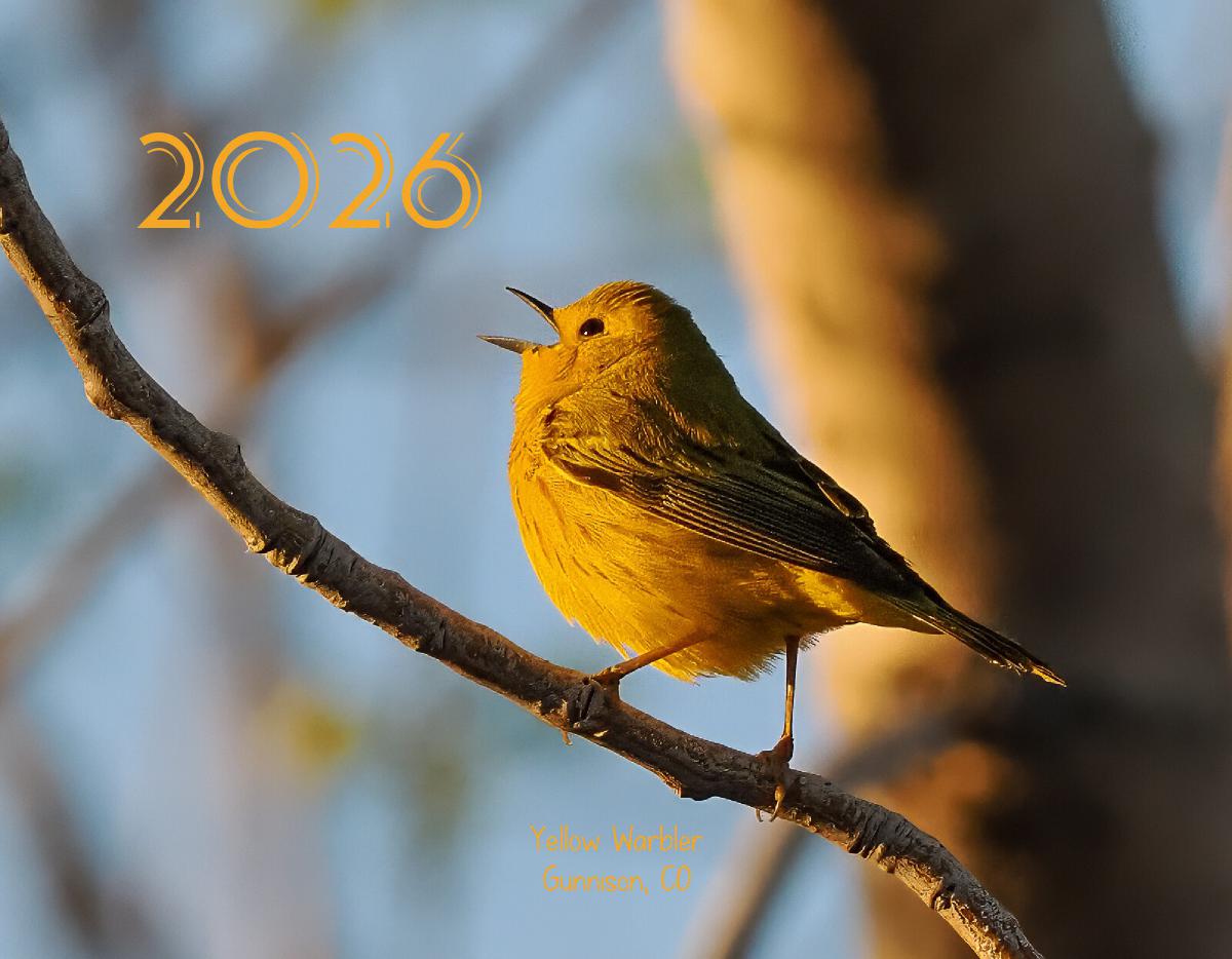 2026 Bird Calendar