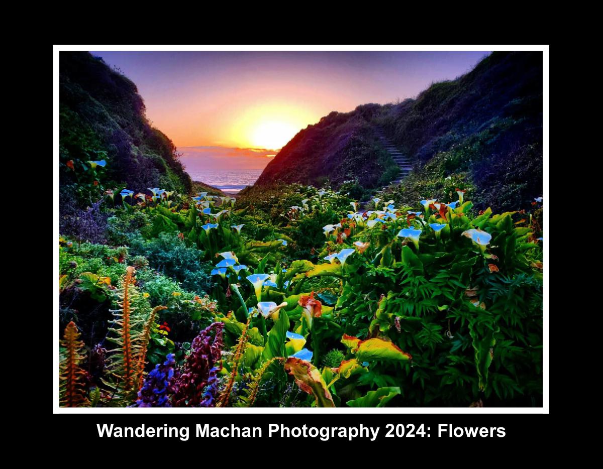 Wandering Machan Photography 2024 Calendar Flowers