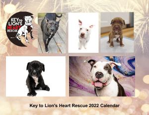 Key to Lion's Heart 2022 Calendar
