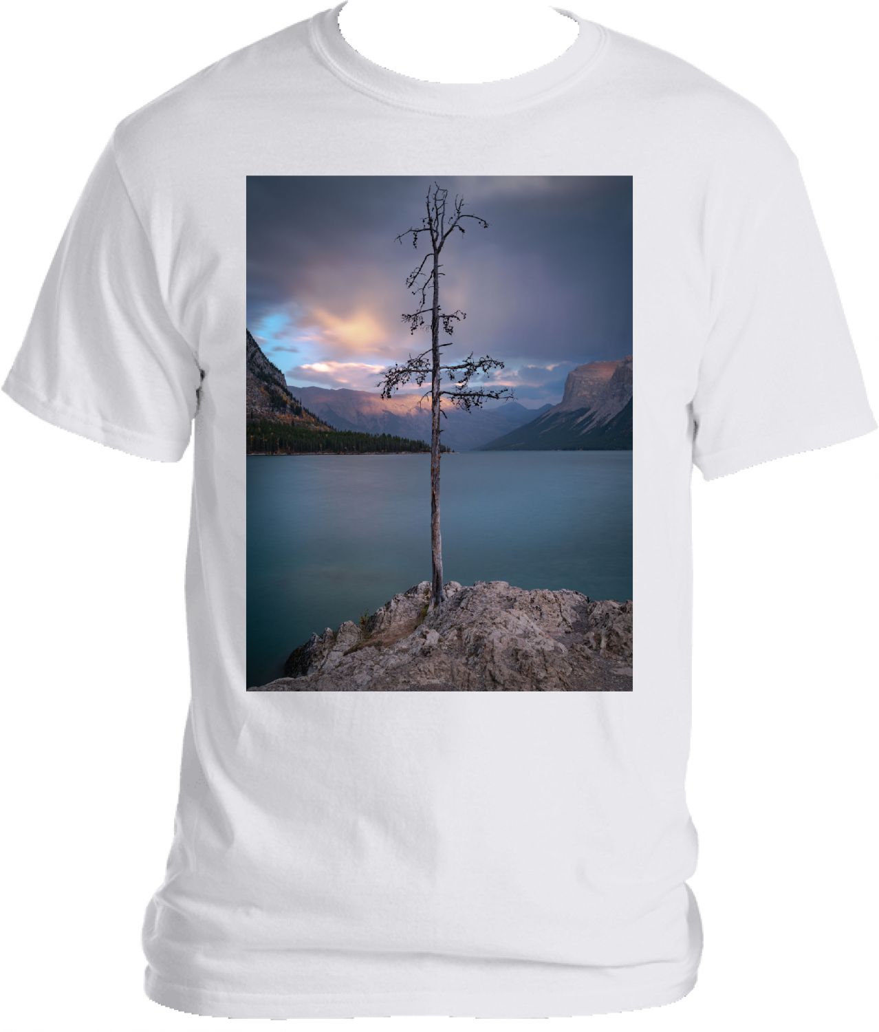 Lone Tree Banff Canada T Shirt