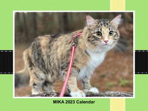 Mika 2023 Calendar