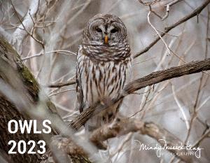 Owls 2023