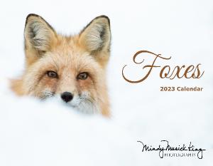 Foxes 2023