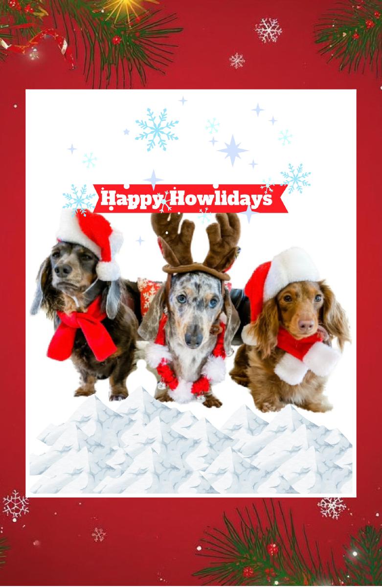 Miniature Dachshund Howliday Notebook