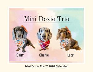 2026 Miniature Dachshund Photo Wall Calendar