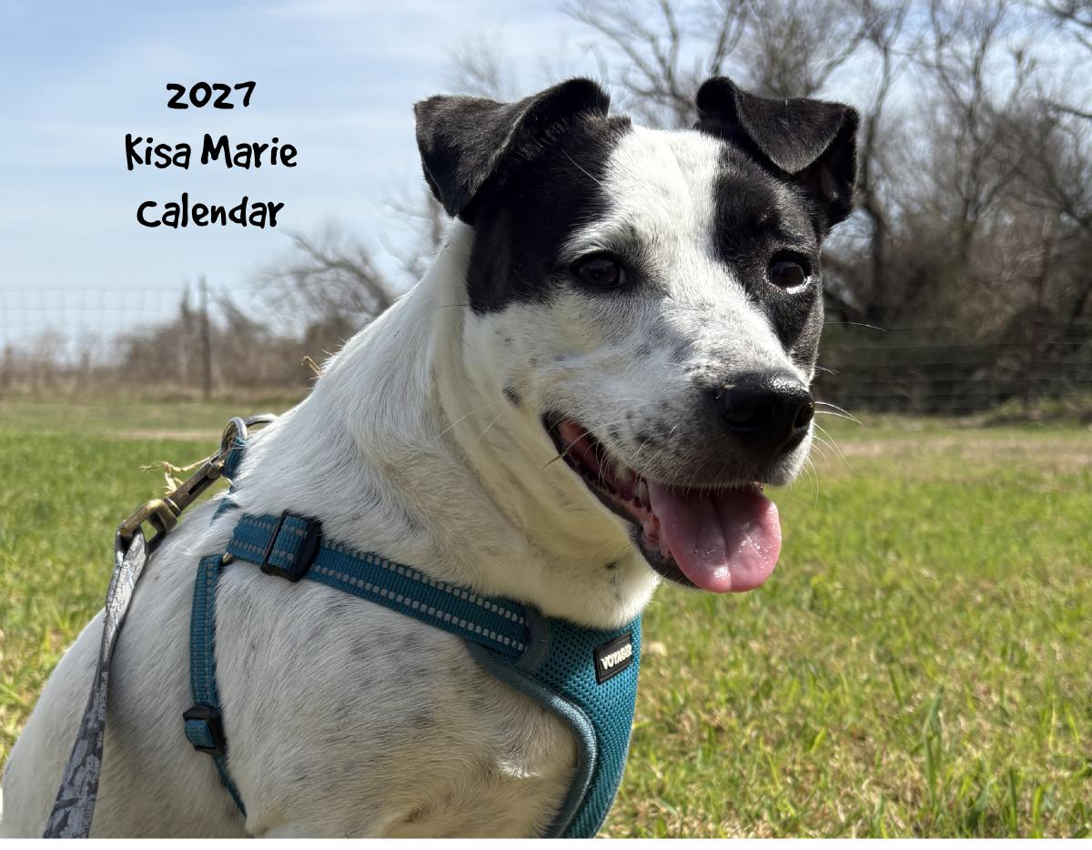 Kisa Marie 2027 Calendar