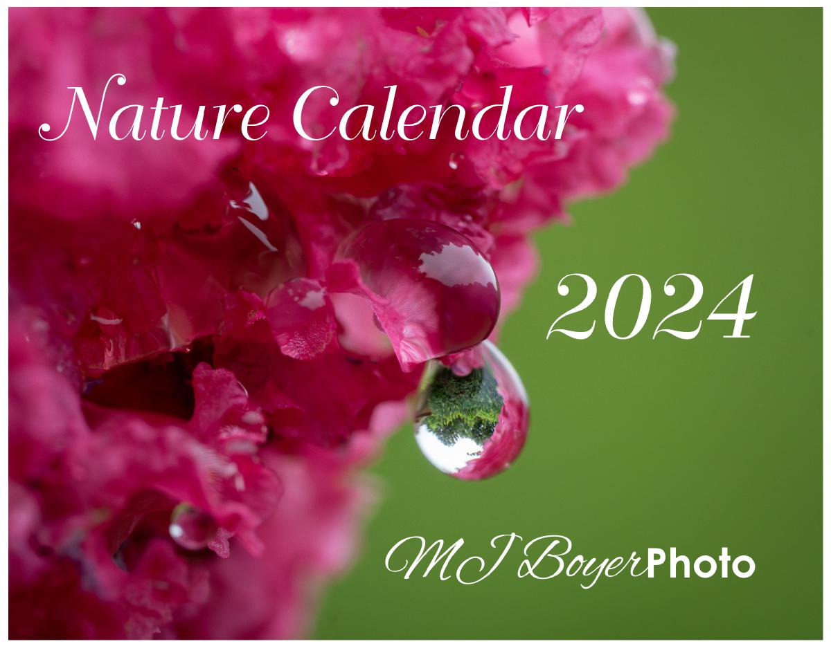 Nature 2024 13 Month Photo Calendar
