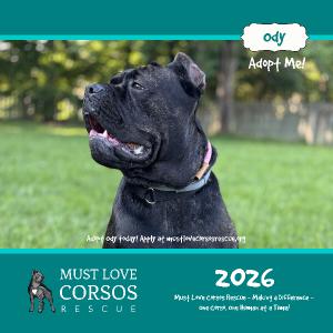 Must Love Corsos Rescue 2026 12x12