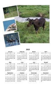 2023 Colorado Wildlife Year-At-A-Glance Calendar