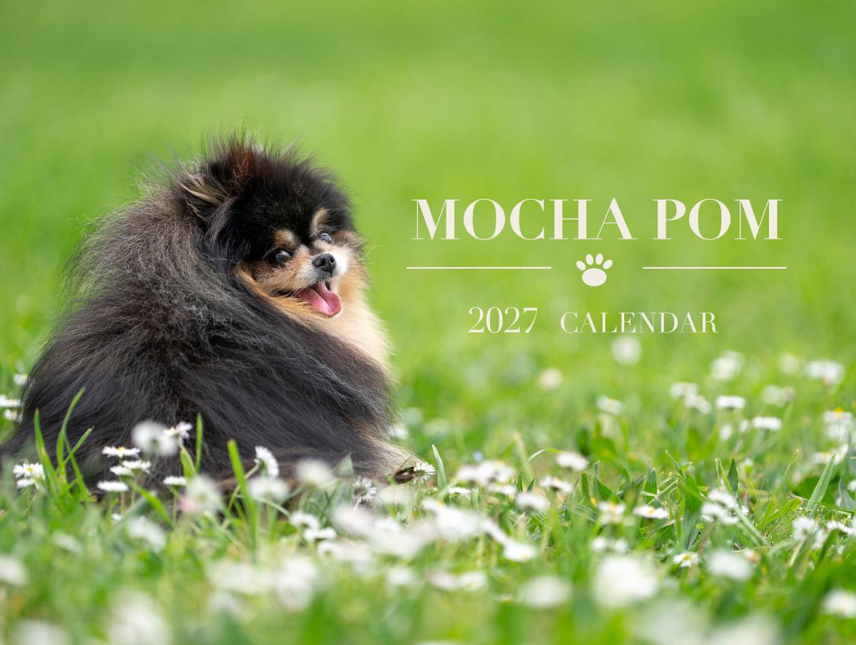 Mocha Pom 2027 Wall Calendar
