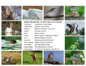 2023 Moments in Nature Calendar