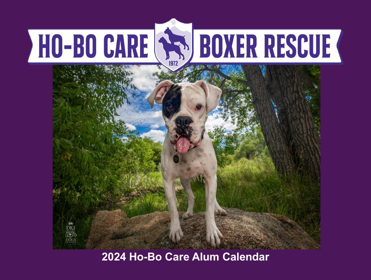 2024 HoBo Care Alum Calendar