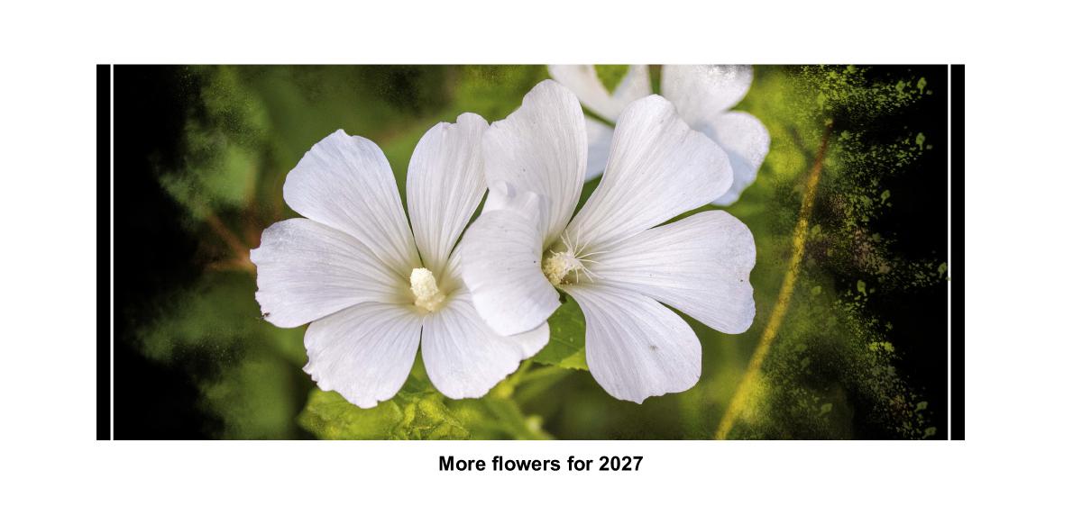 2027 Flowers Just for You