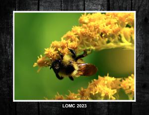 LOMC 2023 Calendar