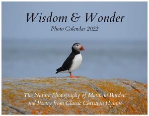 Wisdom & Wonder - 2022 Photo Calendar