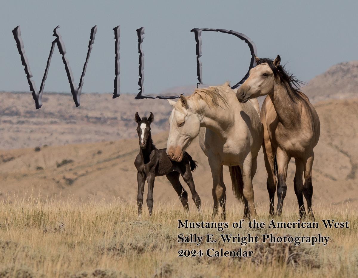 WILD - 2024 calendar by Sally E Wright Photography