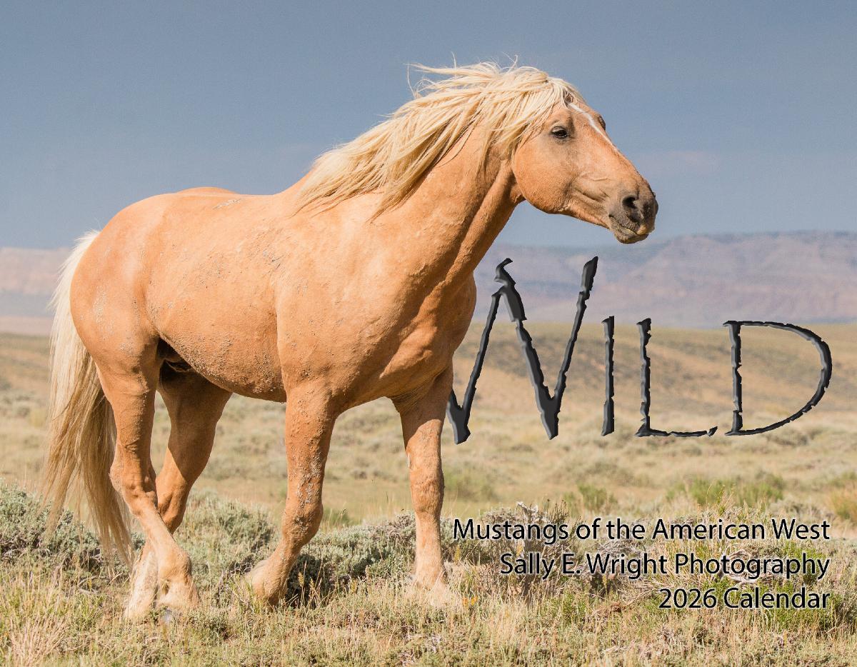 2026 WILD Mustangs of the American West 13 month