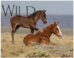 WILD Mustangs of the American West 13 month