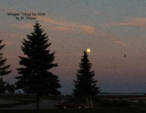 Winged Things for 2026