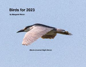 Calendar of Birds for 2023 by Margaret Weber