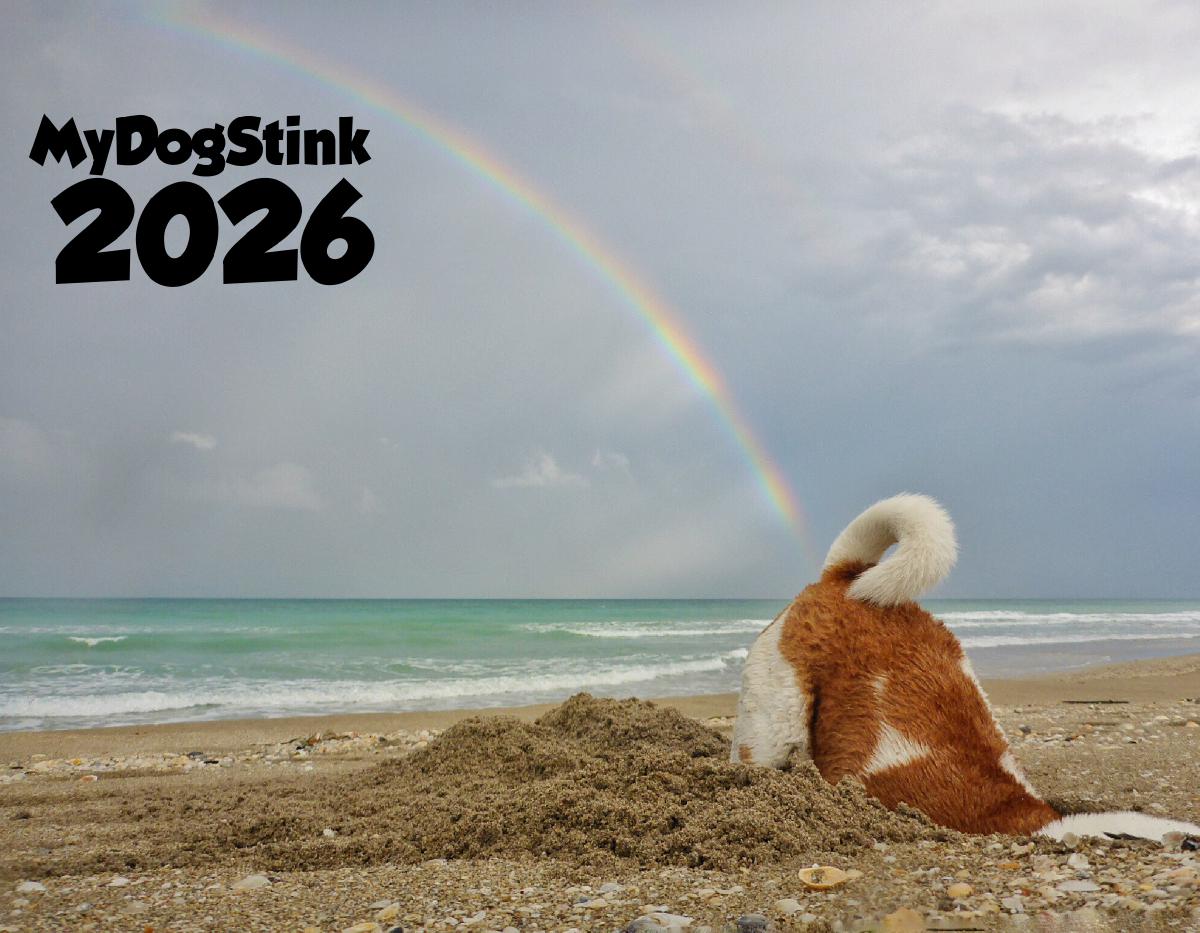 MyDogStink 2026