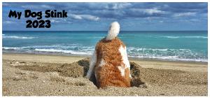 My Dog Stink 2023 Desk Calendar