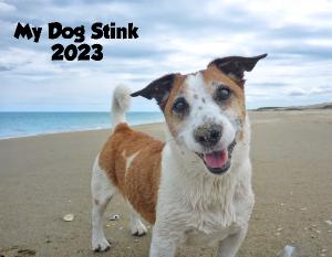 My Dog Stink 2023