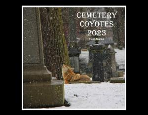 Cemetery Coyote