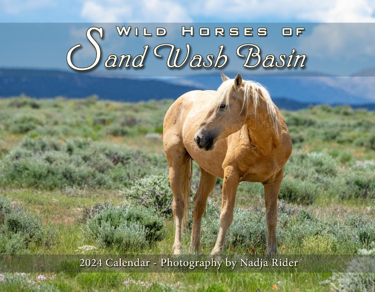 2024 Wild Horses of Sand Wash Basin Wall Calendar