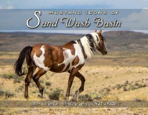 2024 Mustang Icons of Sand Wash Basin Calendar