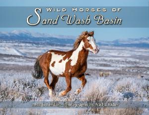 2022 Wild Horses of Sand Wash Basin Wall Calendar