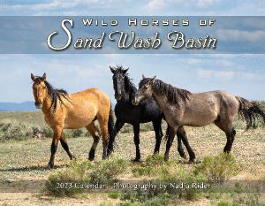 2023 Wild Horses of Sand Wash Basin Wall Calendar