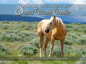 2024 Wild Horses of Sand Wash Basin Wall Calendar