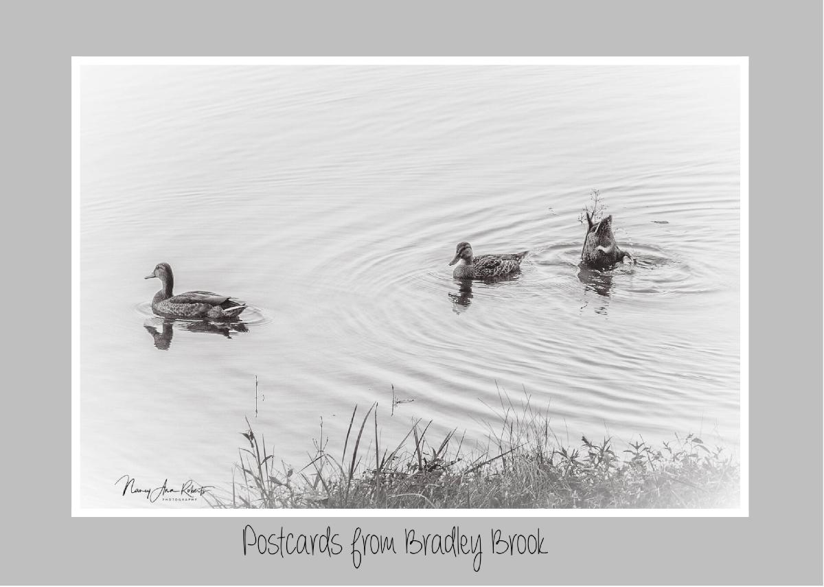 Early Morning Paddle