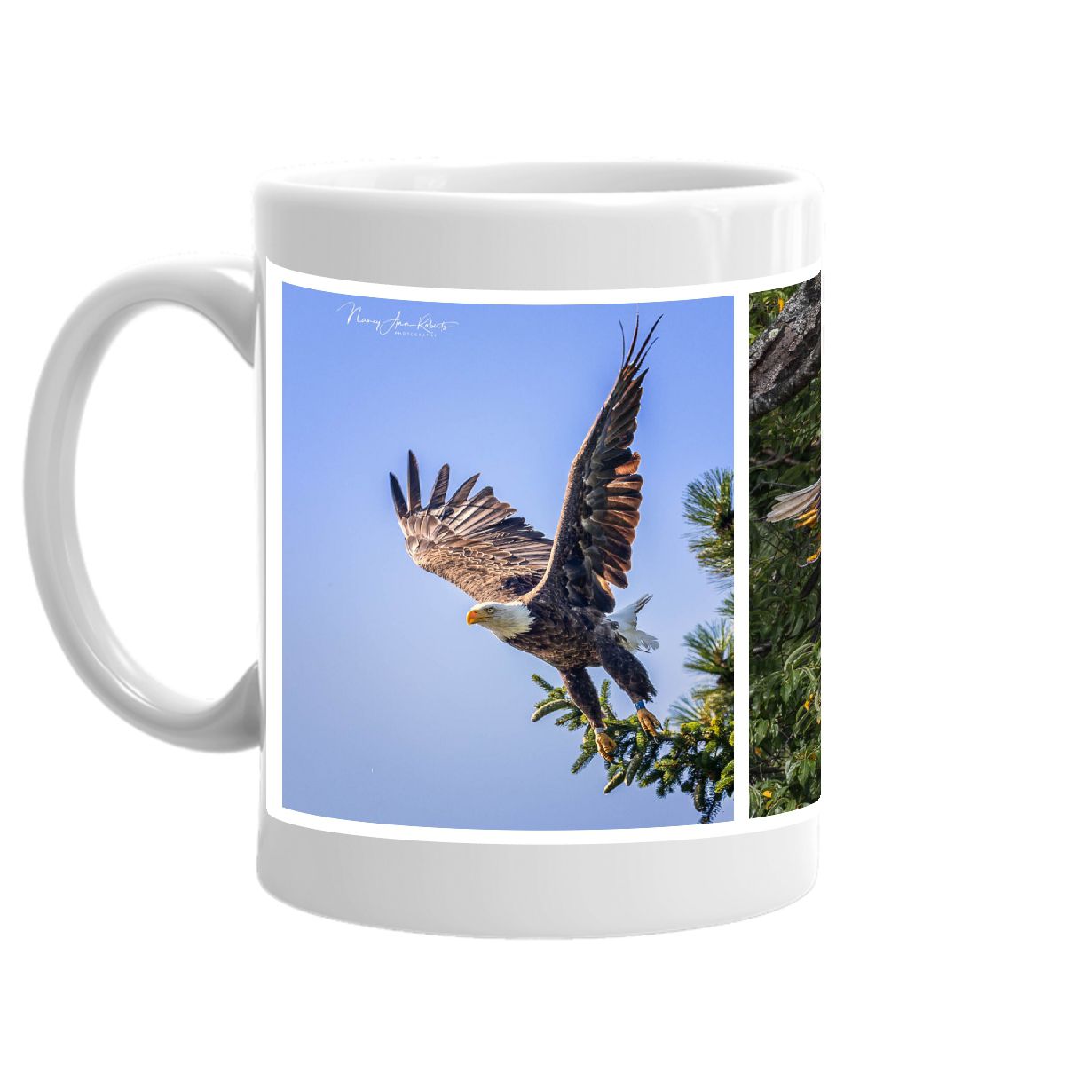 Bradley Brook Where Eagle Flys Mug