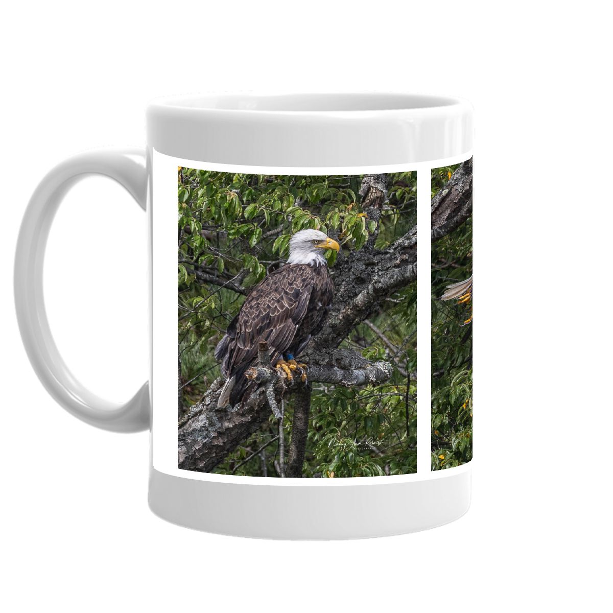 Bradley Brook Where Eagles Fly Mug