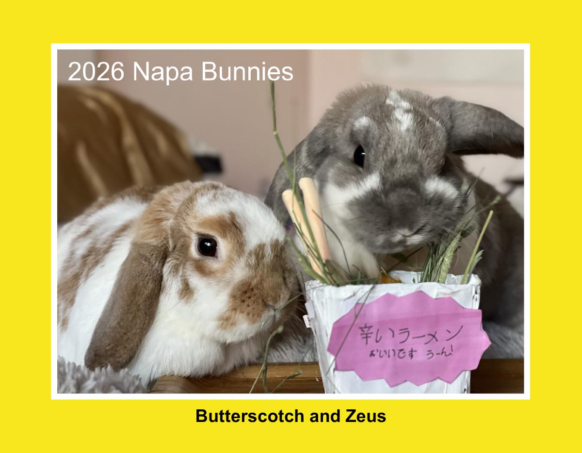 2026 Napa Bunnies Rescue Calendar