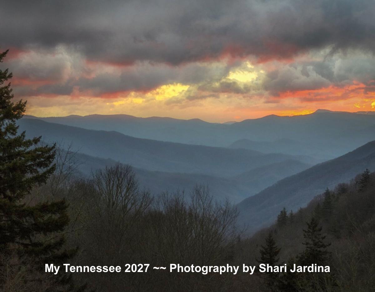 My Tennessee
