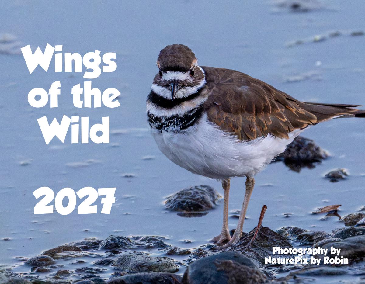 Wings of the Wild - Birds of the Pacific Northwest