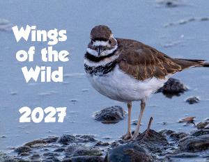 Wings of the Wild - Birds of the Pacific Northwest